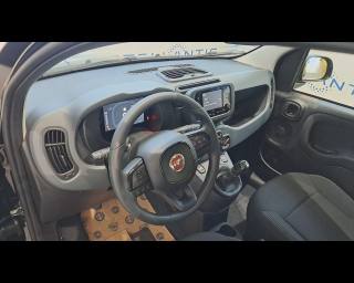 FIAT New Panda usata, con Cruise Control