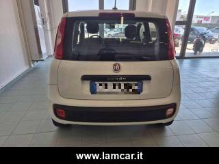 FIAT Panda usata, con Controllo trazione