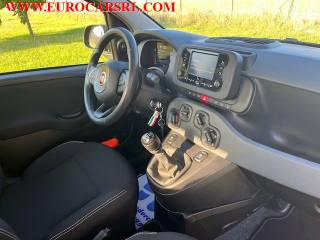 FIAT Panda usata 24