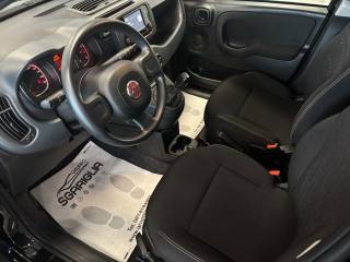 FIAT Panda usata, con Fendinebbia
