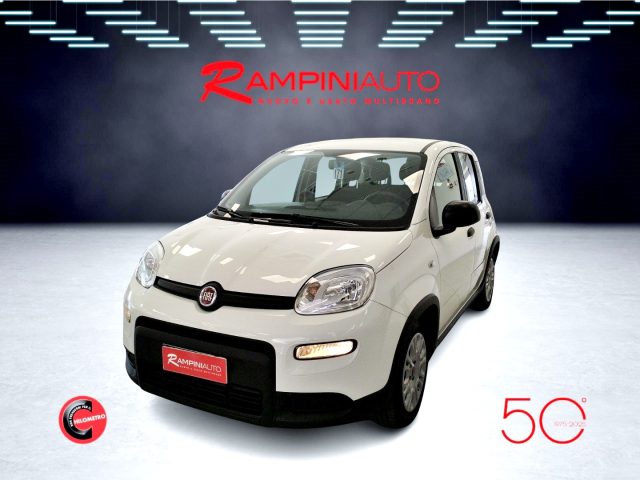 FIAT Panda usata 1