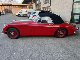 JAGUAR XK usata 6