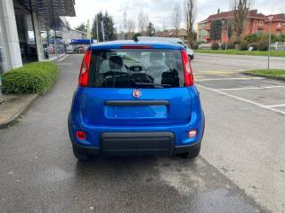 FIAT Panda usata, con Alzacristalli elettrici