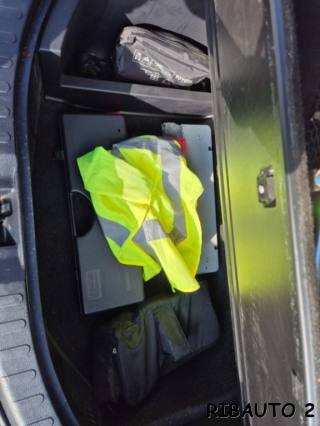 TOYOTA RAV 4 usata, con Volante in pelle