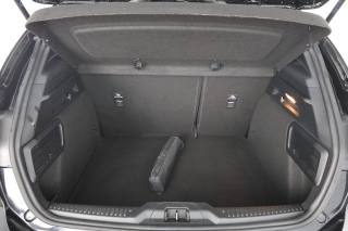FORD Focus usata 5