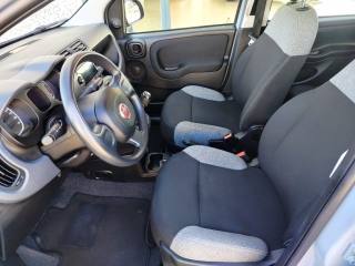 FIAT Panda usata, con Immobilizzatore elettronico