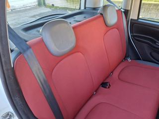 FIAT Panda usata 53