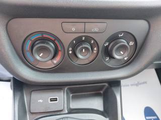 FIAT Doblo usata, con Cronologia tagliandi