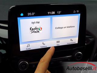 FORD Fiesta usata 48