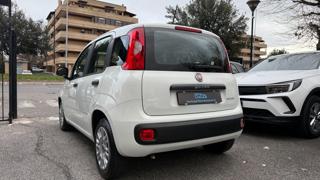 FIAT Panda usata, con Alzacristalli elettrici
