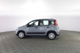 FIAT Panda usata 5
