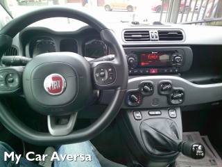 FIAT Panda usata, con Controllo trazione