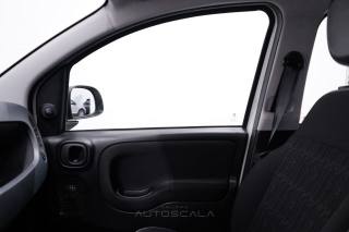 FIAT New Panda usata 18