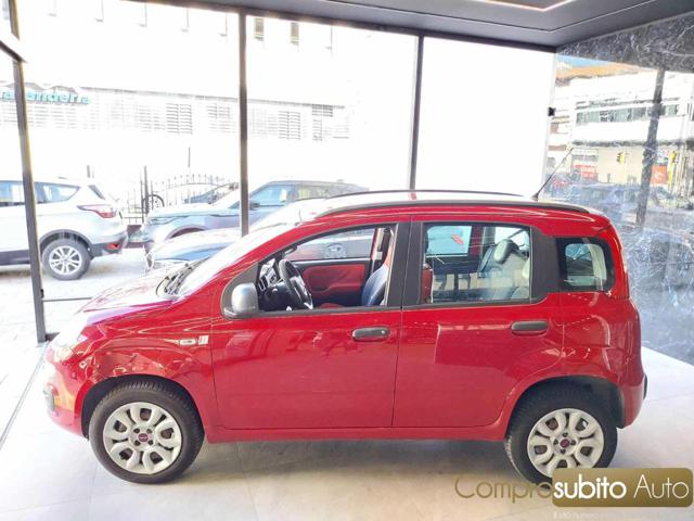 FIAT Panda usata, con Controllo trazione