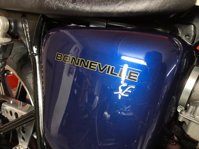 TRIUMPH Bonneville T100 usata 4