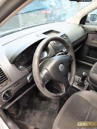 VOLKSWAGEN Polo usata 14