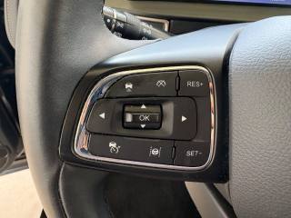 DR MOTOR DR 6.0 usata, con Cruise Control