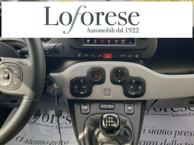 FIAT Panda Cross usata, con Controllo trazione