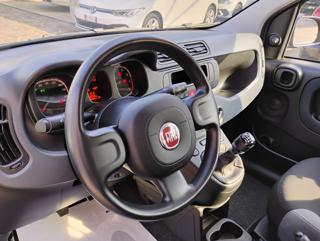 FIAT Panda usata, con Immobilizzatore elettronico