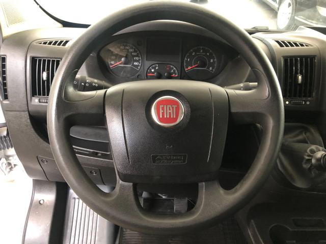 FIAT usata 10