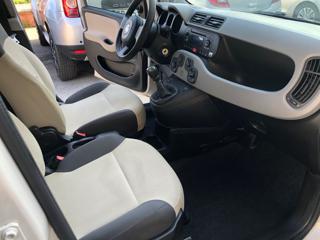 FIAT Panda usata 10