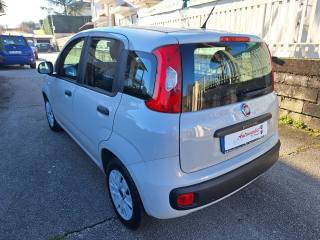 FIAT Panda usata 15