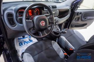 FIAT Panda usata, con Luci diurne