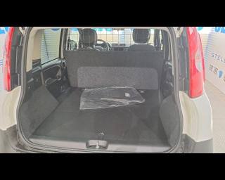 FIAT New Panda usata, con Supporto lombare