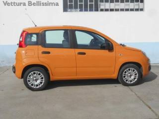 FIAT Panda usata, con Servosterzo