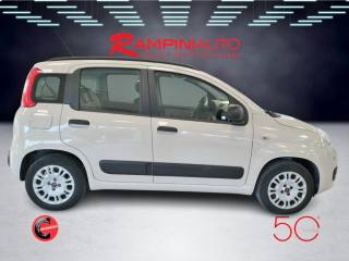 FIAT Panda usata 6