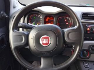 FIAT Panda usata 17