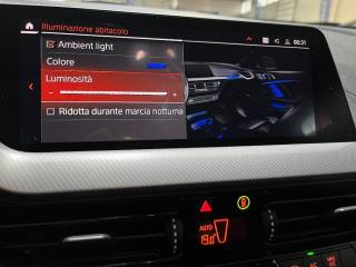 BMW 116 usata, con Cruise Control