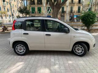 FIAT Panda usata, con Alzacristalli elettrici