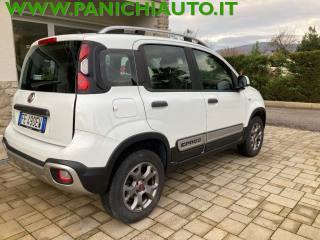FIAT Panda Cross usata, con Alzacristalli elettrici
