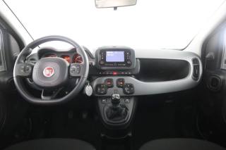 FIAT Panda usata 4