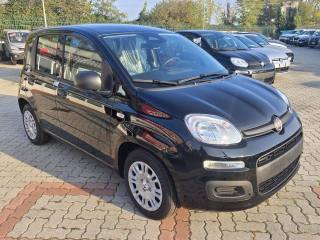 FIAT Panda usata, con Alzacristalli elettrici