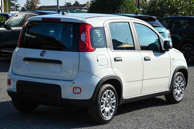 FIAT Panda usata, con Antifurto