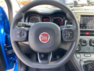 FIAT Panda Cross usata, con Climatizzatore