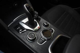 ALFA ROMEO Stelvio usata, con Cronologia tagliandi