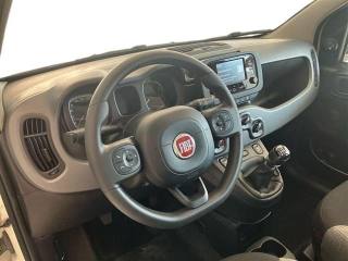 FIAT Panda usata 16