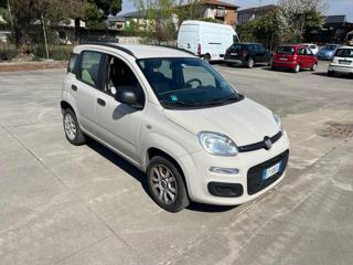 FIAT Panda usata, con Airbag Passeggero