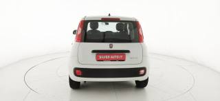 FIAT Panda usata 55