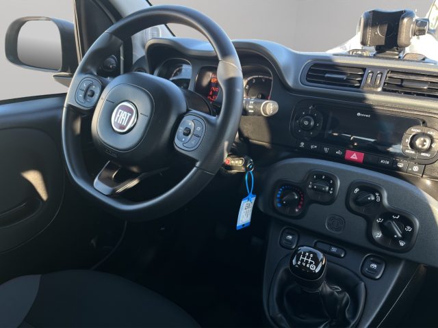 FIAT Panda usata 9