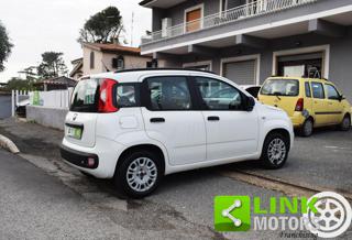 FIAT Panda usata, con Alzacristalli elettrici