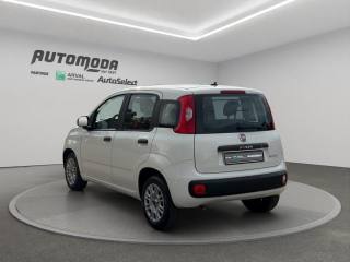 FIAT Panda usata, con Chiusura centralizzata