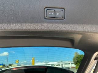 AUDI Q8 usata, con Servosterzo