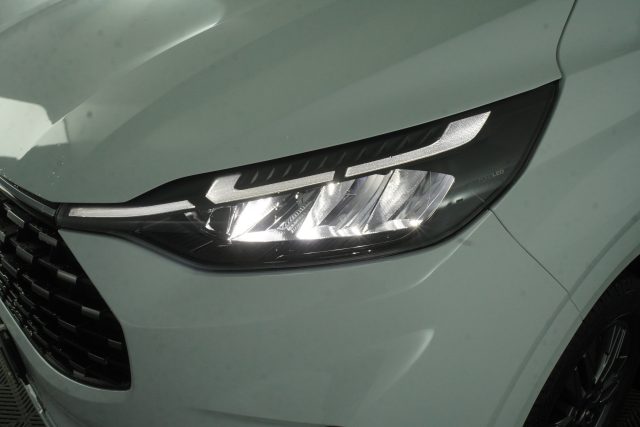 FORD Tourneo Custom usata 15
