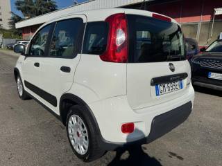 FIAT Panda usata, con Servosterzo