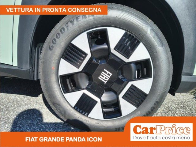 FIAT Grande Panda usata, con Cruise Control