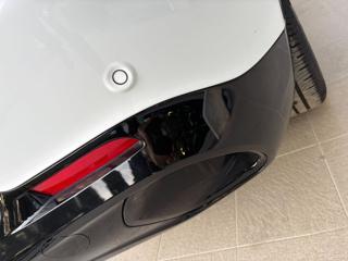 ALFA ROMEO Tonale usata, con Bracciolo